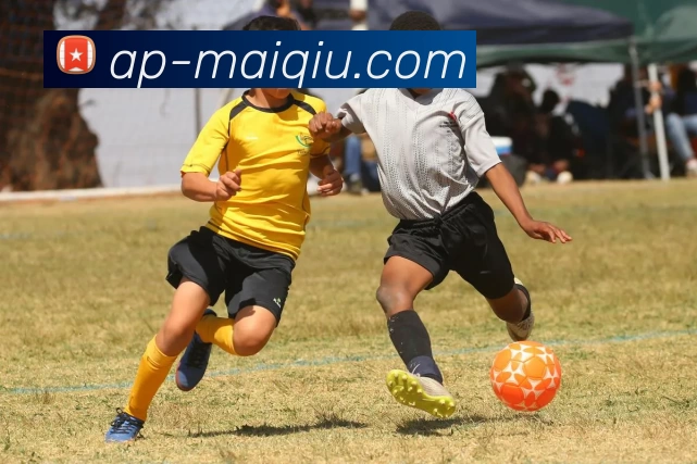 体育投注平台APP 高清赛事图